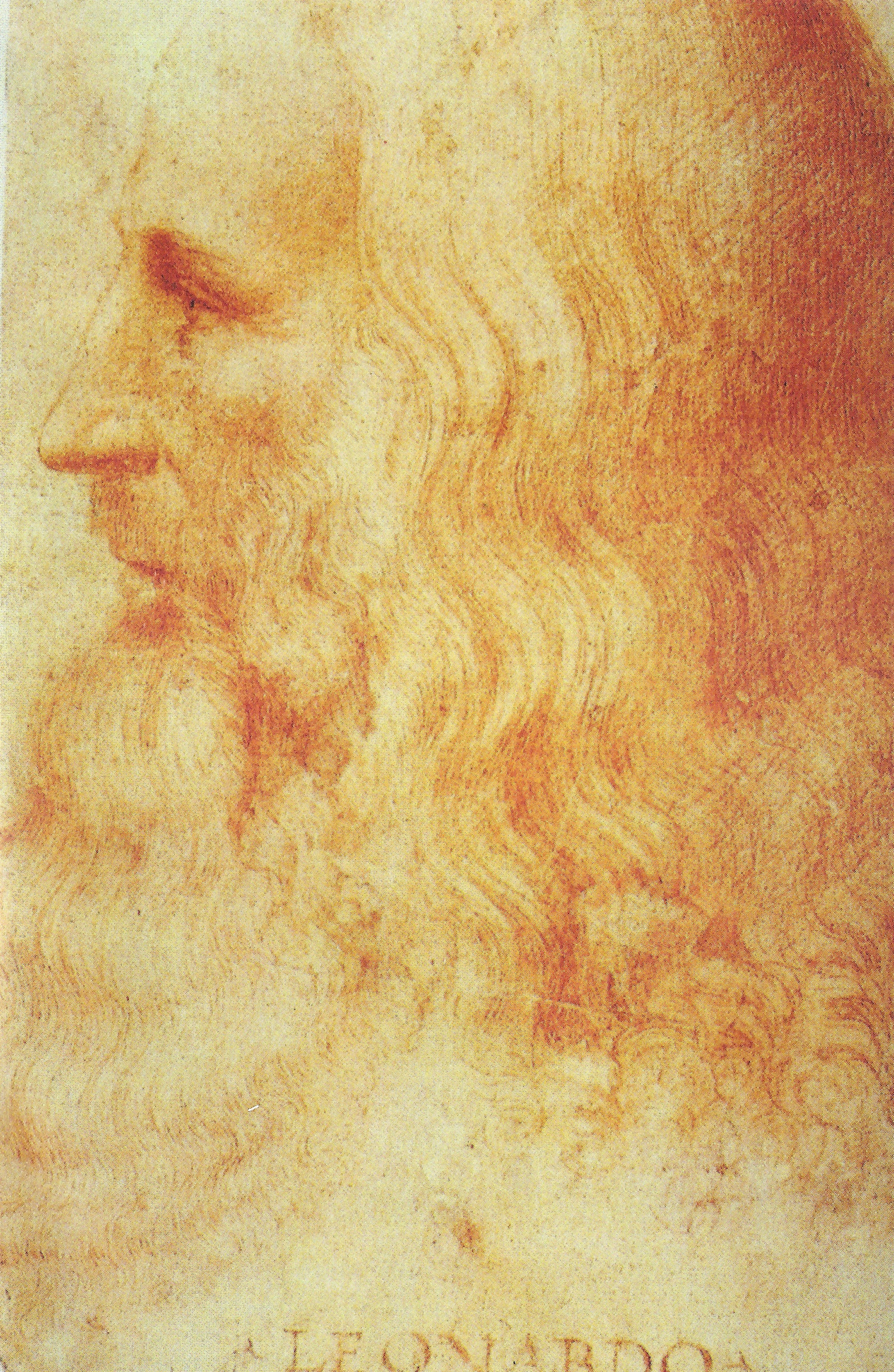 Леонардо да Винчи: художник, инженер, исследователь | Leonardo da Vinci: artist, engineer, researcher (30 фото) (1 часть) » Картины, художники, фотографы на Nevsepic