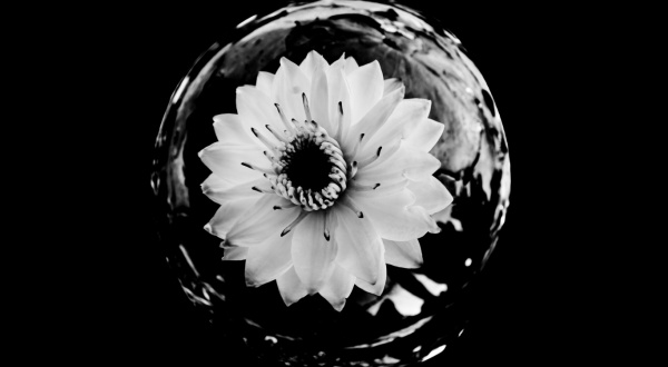 Фотоподборка - Чёрное и Белое / Black & White (389 фото)