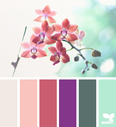 Сочетание цветов | Color combination part 13 (100 фото)