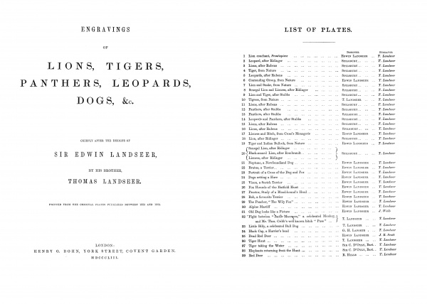 Гравюры львов, тигров, пантер, леопардов, собак и прочее 1853 (40 фото)