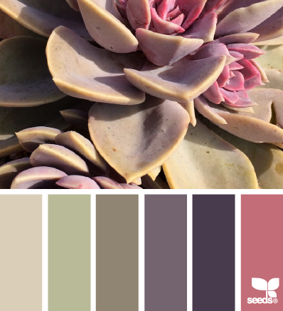 Сочетание цветов | Color combination part 15 (100 фото)