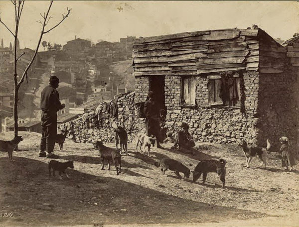 Istanbul 19th century (20 photos)